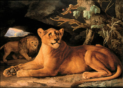 George Stubbs, lion and lioness